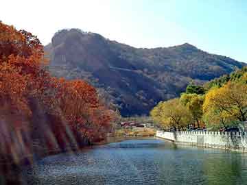 最新机票总价揭秘，航空旅行的成本与策略探索