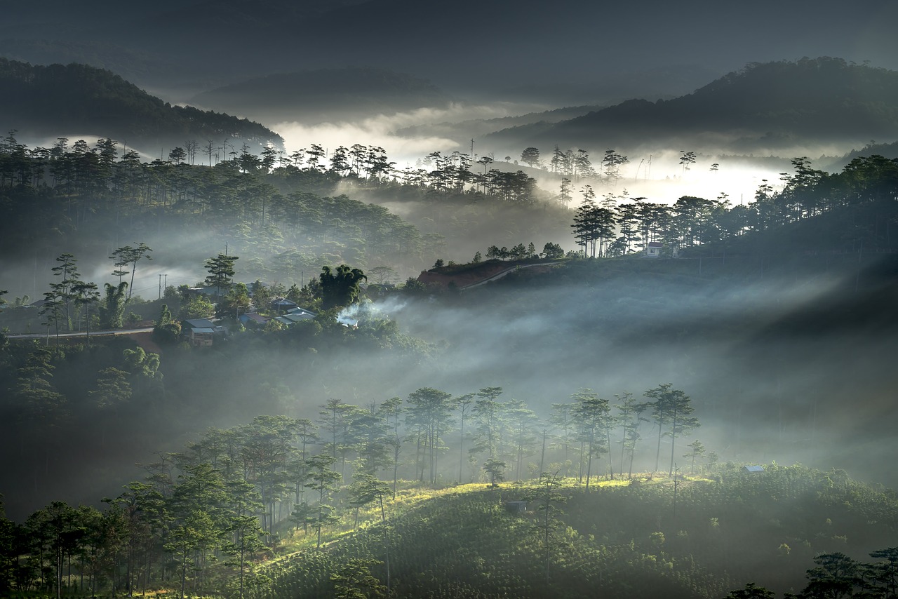 东方骏景最新动态，未来居住新篇章揭晓