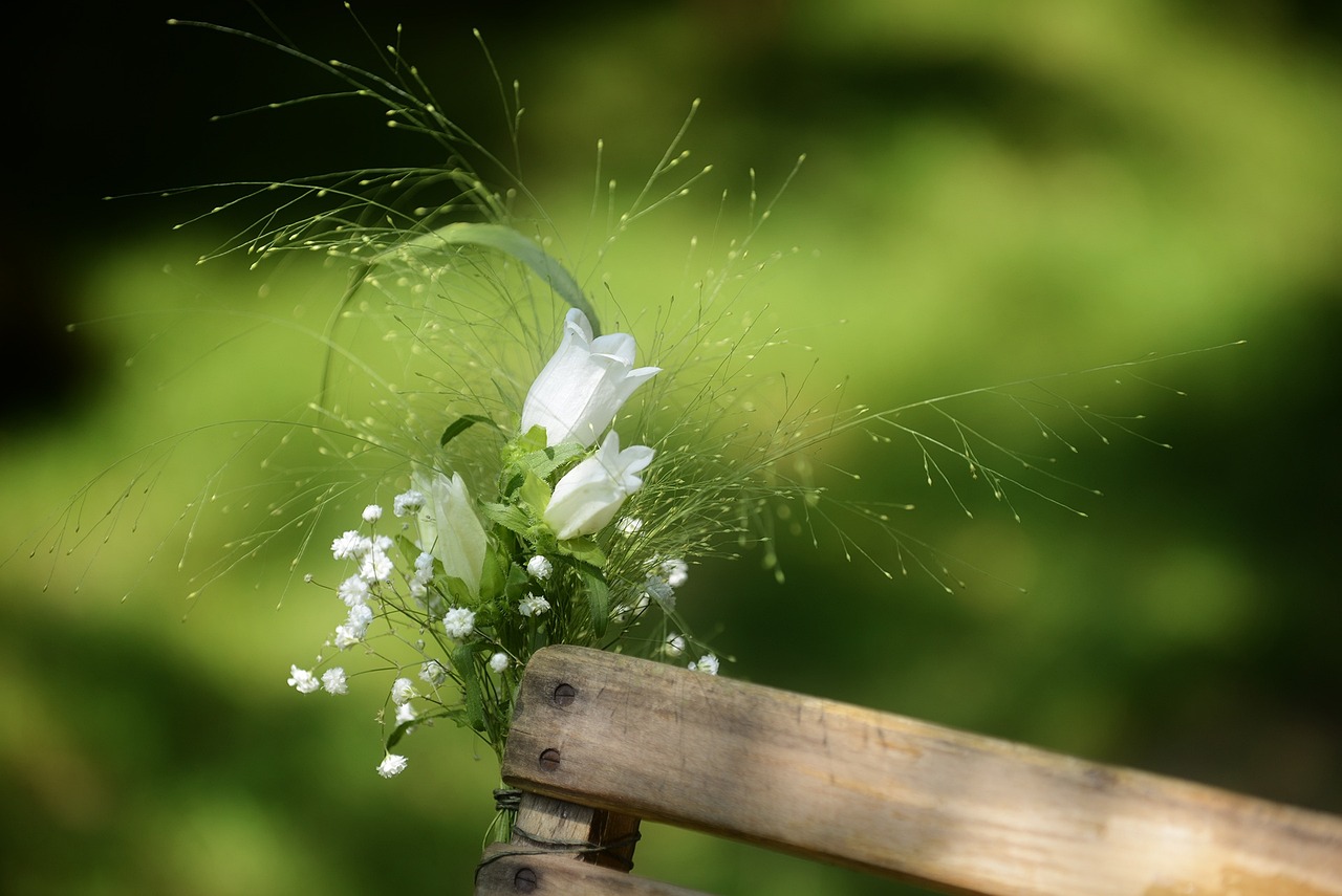 遠(yuǎn)方葬花為你守候