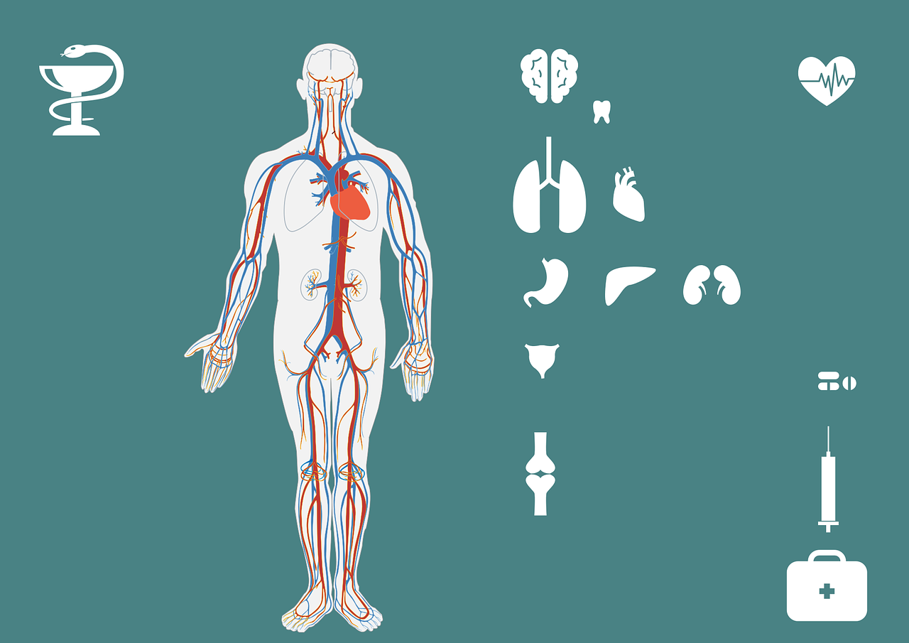 脊柱關(guān)節(jié)病最新指南，全面解讀及應(yīng)對(duì)策略