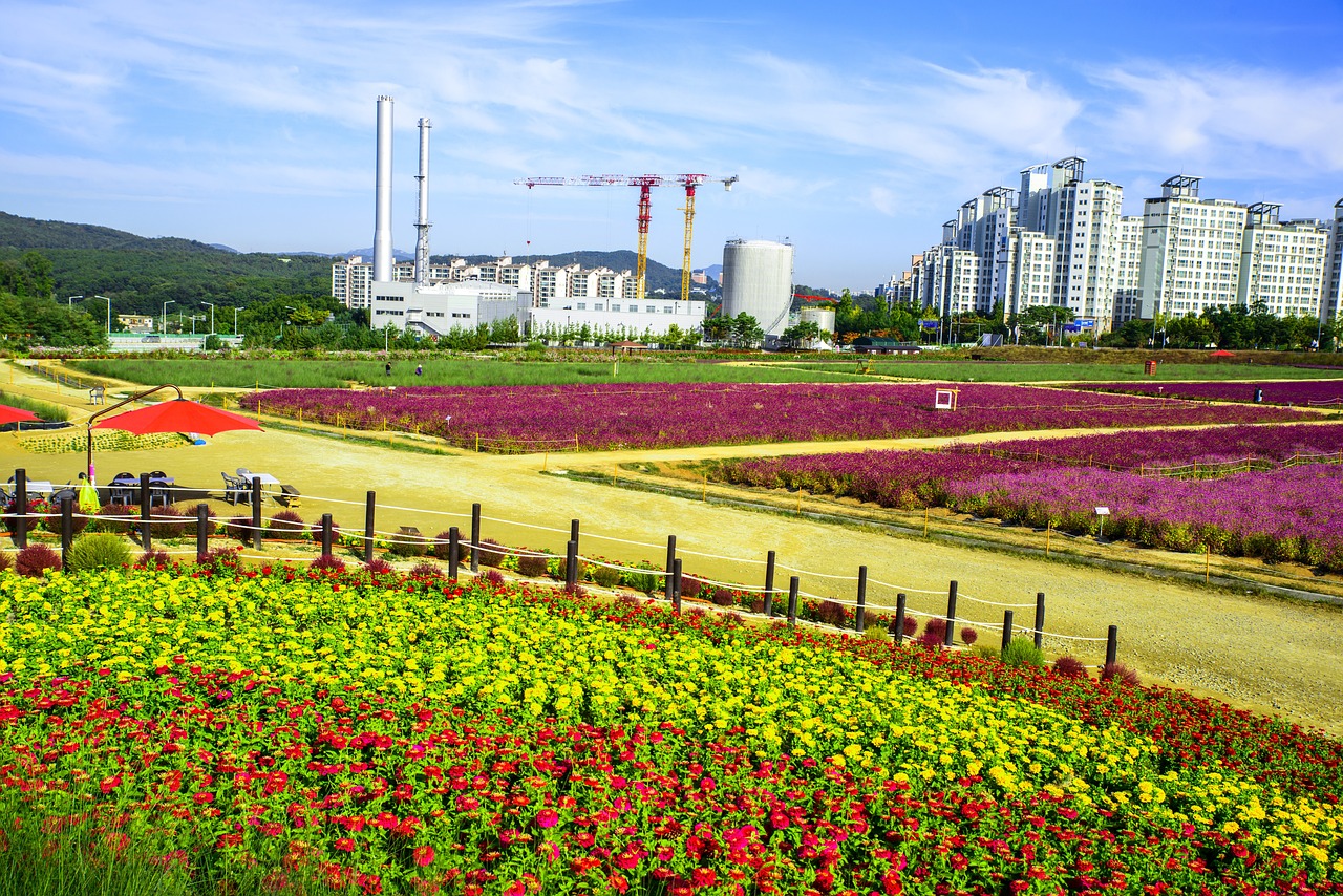 揚(yáng)州公園最新招聘啟事全覽