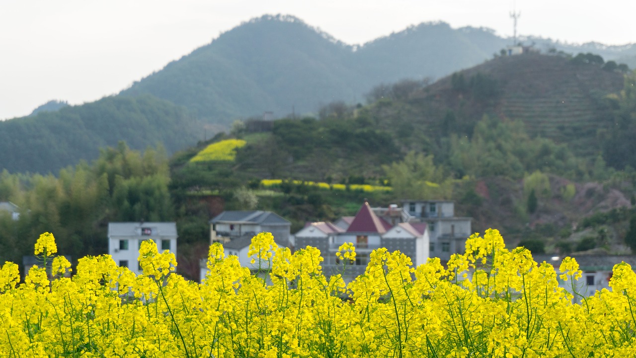 昆明周邊溫泉最新攻略，盡享溫泉療養(yǎng)舒緩時(shí)光